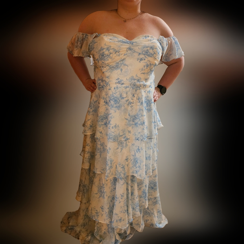 Size 2X Or 3X Cottage Core Prom/Formal Dress
